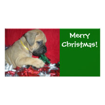 Frohe Weihnachten - Bullmastiff Welpe Photo Karten Vorlage
