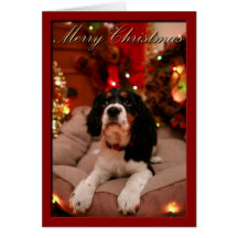 Frohe Weihnachten, Springer Spanielwelpe Karte