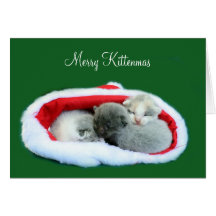 Fröhliches Kittenmas Karte