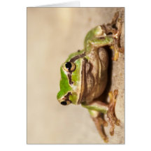 FROSCH KARTE