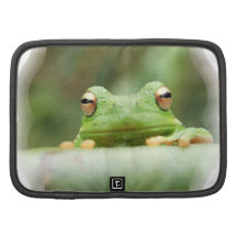 Frosch mustert Geldbörsen-Folio Mappe