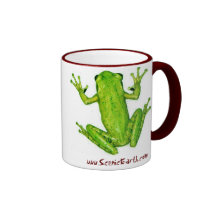 Frosch-tropischer Regenwald-landschaftliche Erdkaf