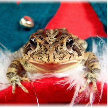 Frosch-Weihnachten, Lametta, Federn, Sankt-Muster Photostatue