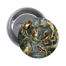 Frösche Buttons