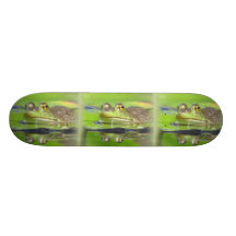 Frösche im Sumpf-Skateboard Bedrucktes Skateboard