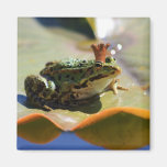 Froschkönig Magnete