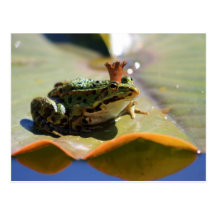 Froschkönig Postkarten