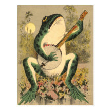Froschserenade-Postkarte