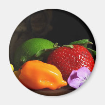 Frucht-nochleben Magnete