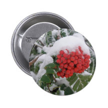 Früher Montana-Winter Anstecknadelbutton