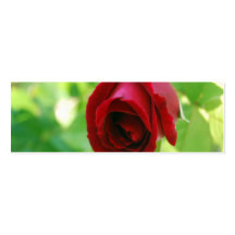 Frühjahr-Rose [dünn] Visitenkarten Vorlage