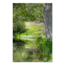Frühjahr-Teich Kunstphoto