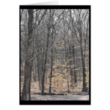 Frühling 47 karte