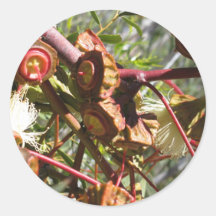 Frühling in Australien Sticker