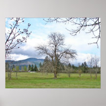 Frühling in den Bergen Posterdrucke
