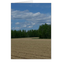 Frühling in Maine Grußkarten