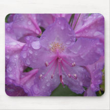 Frühling in Maine Mousepad