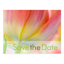 Frühling • Save-the-Date-Postkarte
