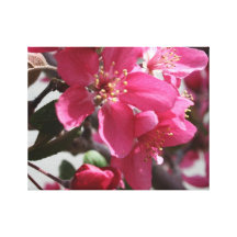 Frühlings-Blüte Galerie Falt Leinwand