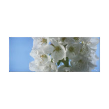 Frühlings-Blüte Gespannter Galerie Druck