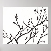 Frühlings-Blüten-Schwarzweiss-Druck Posterdrucke