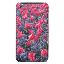 Frühlings-rosa Tulpen und lila Blumen iPod Touch Etuis
