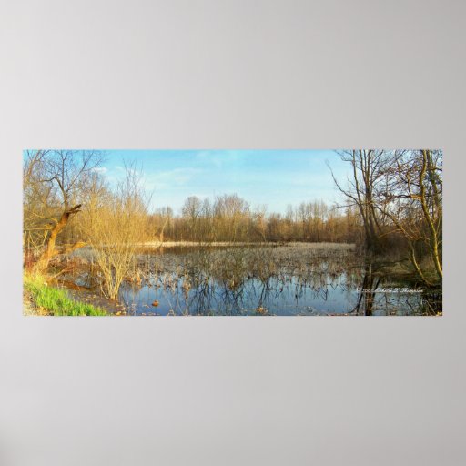 Frühlings-Teich-panoramisches Plakat