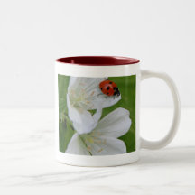 Frühlings-Zeit-Becher Kaffeetassen