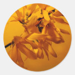 Frühlingsbote Aufkleber