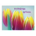 Frühlingsgrüsse Postkarte