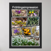 Frühlingsimpression Plakat