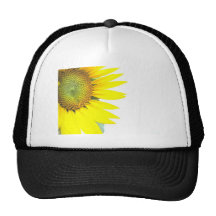 Frühlingssonnenblumen Mützen