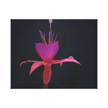 fuchsia purple flower leinwand drucke
