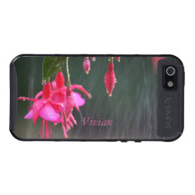 Fuchsien im Regen skinit iPhone 5 Frachtkasten