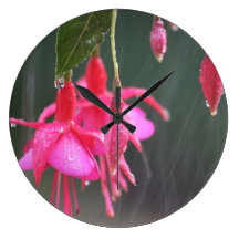 Fuchsien in der Regenuhr