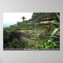 Funchal, Madeira, Portugal Posterdrucke