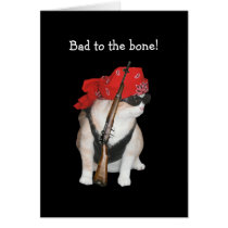 Funny Biker/Nonconformist Cat Birthday karten