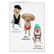 Funny Dog Happy Birthday in Four Languages karten
