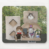 Funny Two Story Kitty Condo mousepads