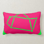Fushsia Chartreuse Kissen