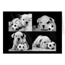 "Fußball-Welpen-" englische Bulldoggen-Collage Karten
