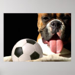 FußballboxerhundeLeinwanddruck Posterdruck