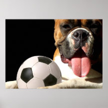 FußballboxerhundeLeinwanddruck Posterdruck
