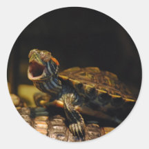 Gähnende Baby-Schildkröte-Aufkleber