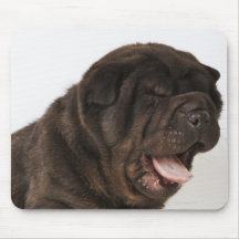 Gähnender Shar Pei Welpe, Studioschuß Mauspad