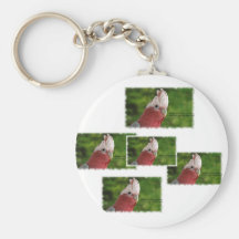 Galah Papagei (Rosakakadu) Schlüsselbänder