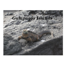 Galapagos-Inseln Postkarten