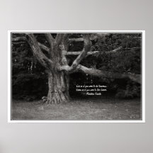Gandhi Zitat-Plakat, Perley Eichen-Monochrom