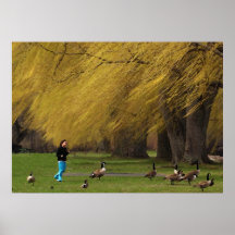 Gans-Frau mit Weiden Posterdruck