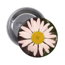 Gänseblümchen Anstecknadelbutton